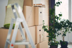 demenagement-plantes