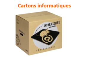 cartons informatiques